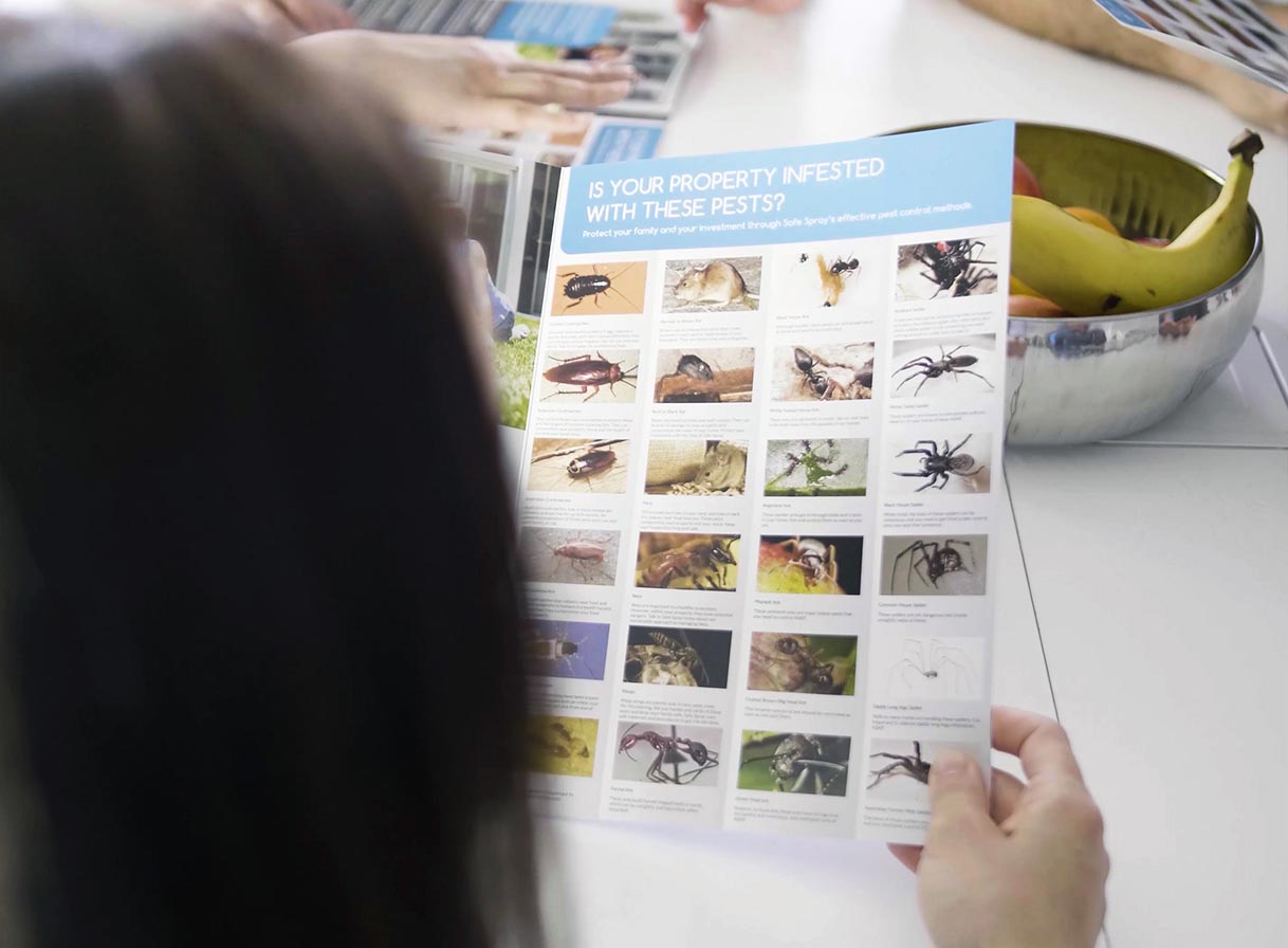 National Pest Control Covering All Pests